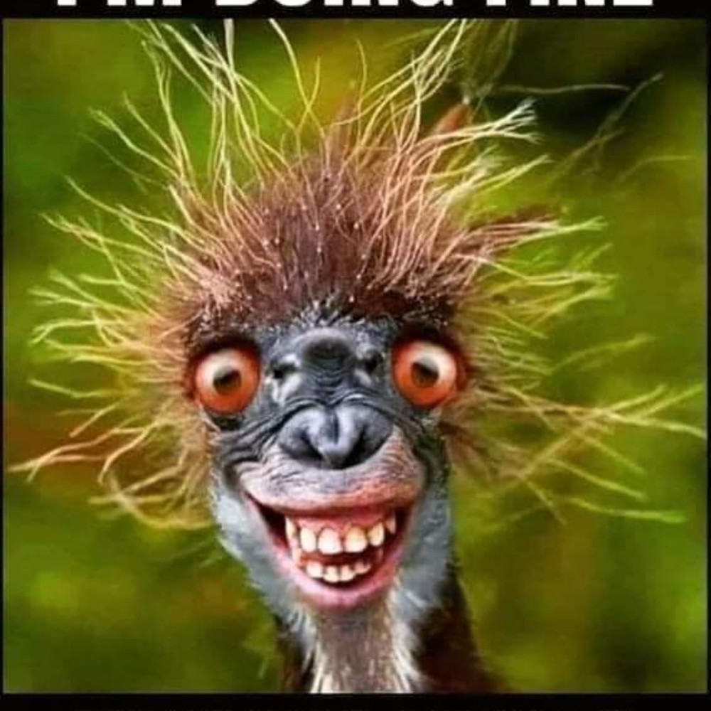 Meet your Posher, Geri